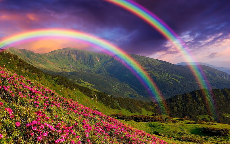 Rainbow Above Mountains, mountains, medow, nature, rainbow, clouds, HD wallpaper