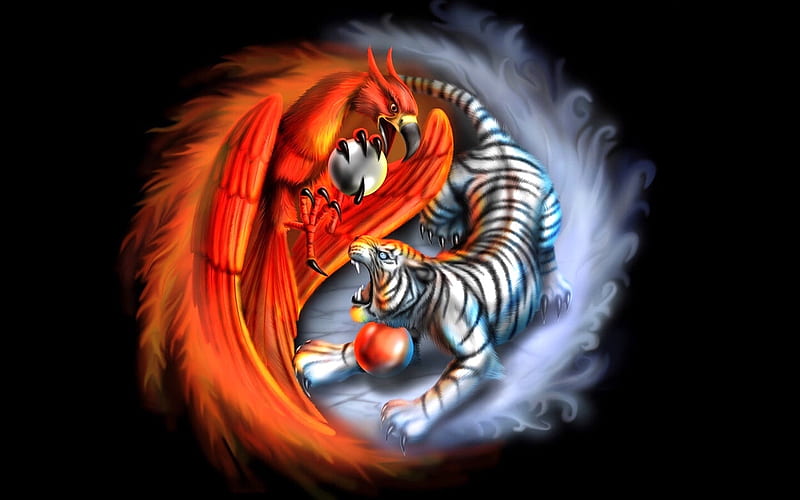 Tiger and Phoenix, phoenix, digtal, Color on black, awesome, Ying Yang, tiger, abstract, Animals, HD wallpaper