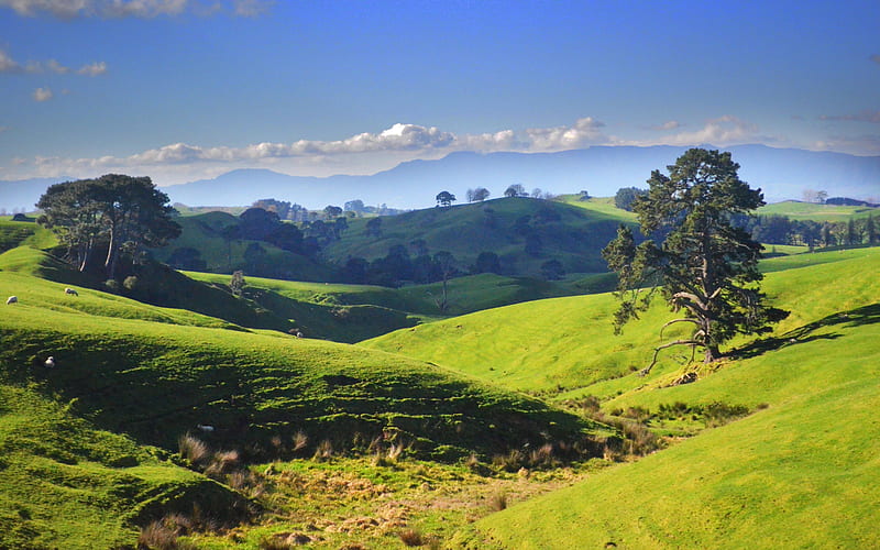 The Hobbiton, New Zealand, North Island, hills, sky, trees, landscape, clouds, HD wallpaper