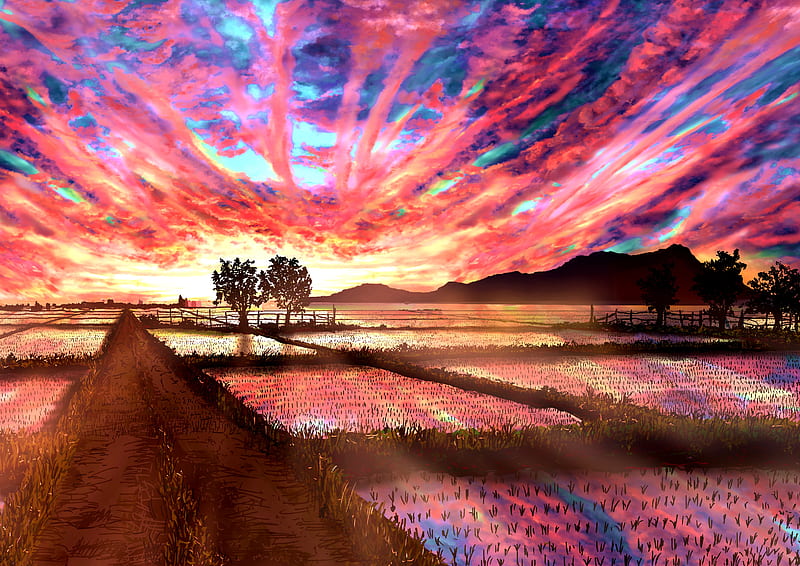 Anime, Original, Cloud, Paddy Field, Sky, Sunset, HD wallpaper