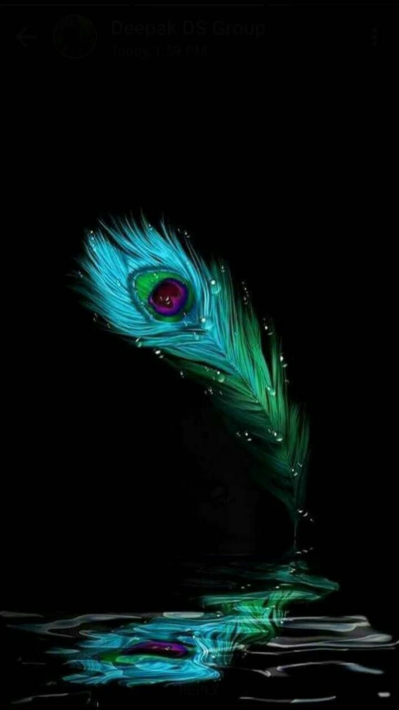 Krishna, feather, peacock, HD phone wallpaper | Peakpx