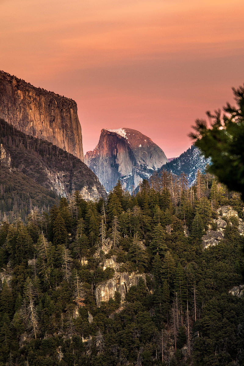 mountains, trees, slopes, peak, nature, HD phone wallpaper