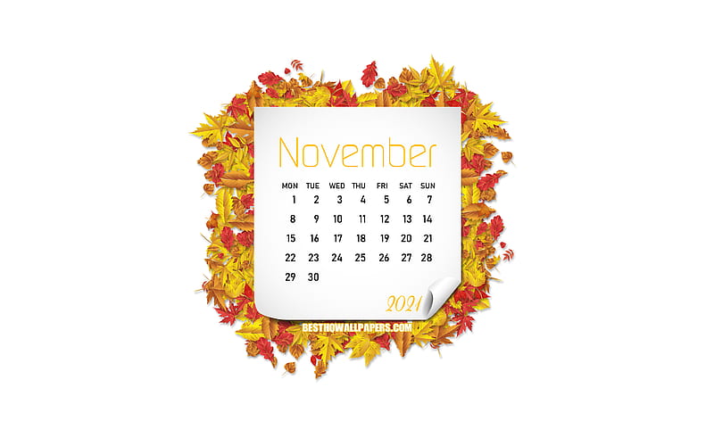 November 2021 Calendar, , autumn leaves, November, white background ...