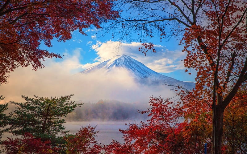 Misty Autumn, autumn, japan, mountains, bonito, trees, snowy peaks, mist, HD wallpaper