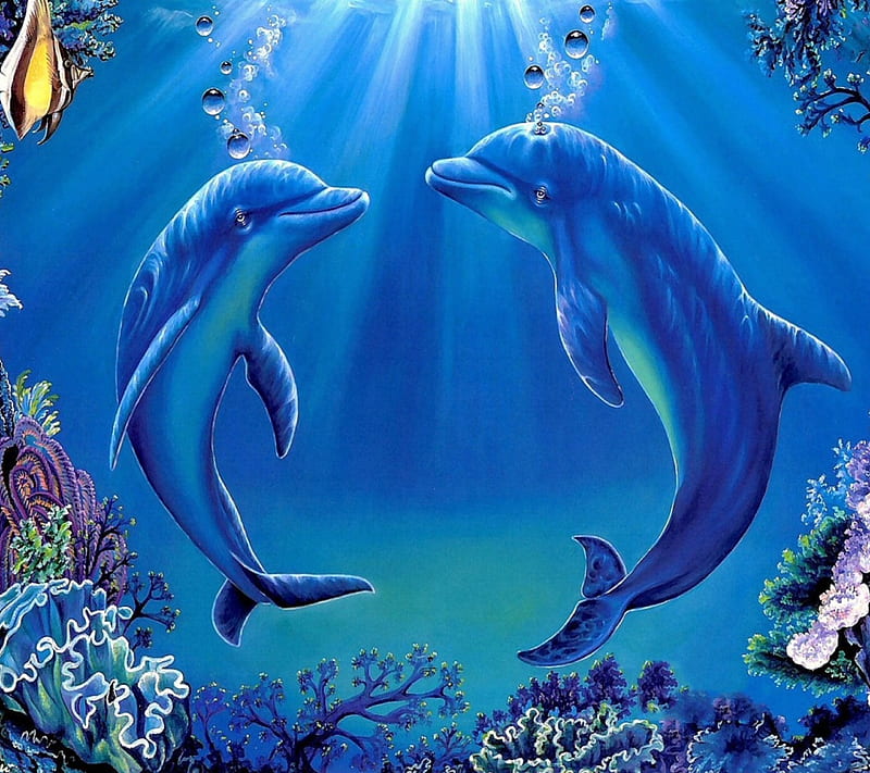 Best Dolphin iPhone 8 HD Wallpapers - iLikeWallpaper