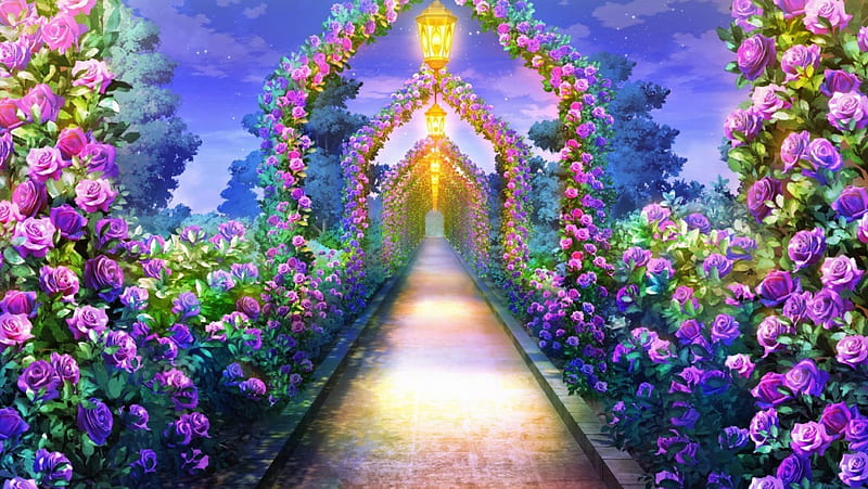 Rose path, rose, flower, path, garden, light, HD wallpaper