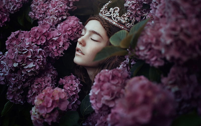 Queen, hydrangea, model, woman, girl, purple, summer, crown, flower, HD wallpaper