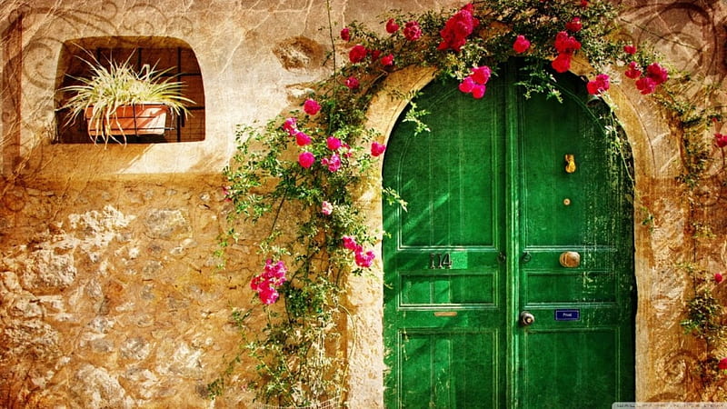 old house, flower, green door, house, stone, HD wallpaper