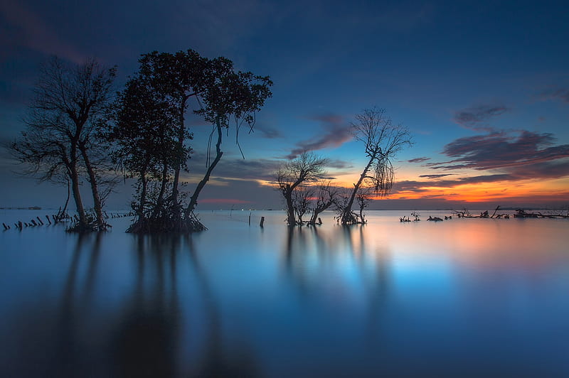 Earth, Sunset, Bay, Indonesia, Tree, HD wallpaper