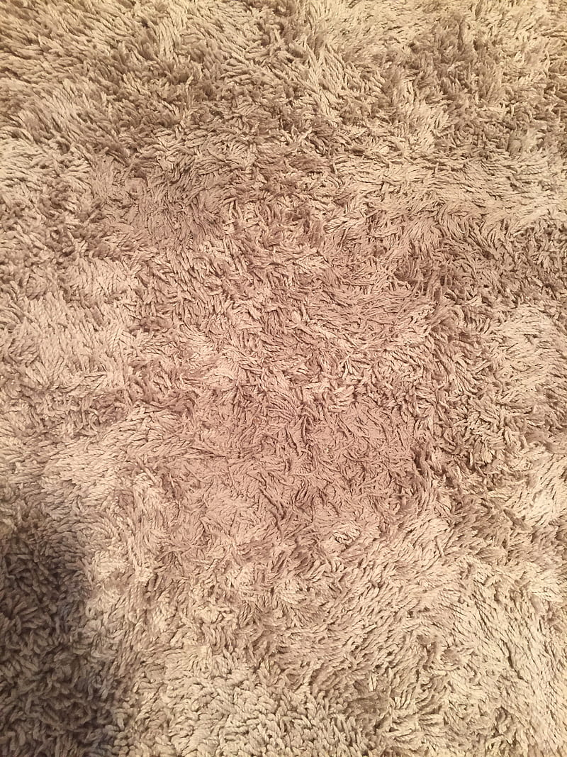 Carpet, texture, white, HD phone wallpaper