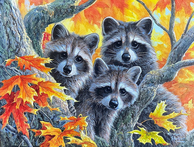 Buddies in Autumn Forest, raccoons, fall, tree, leaves, painting, colors, artwork, HD wallpaper