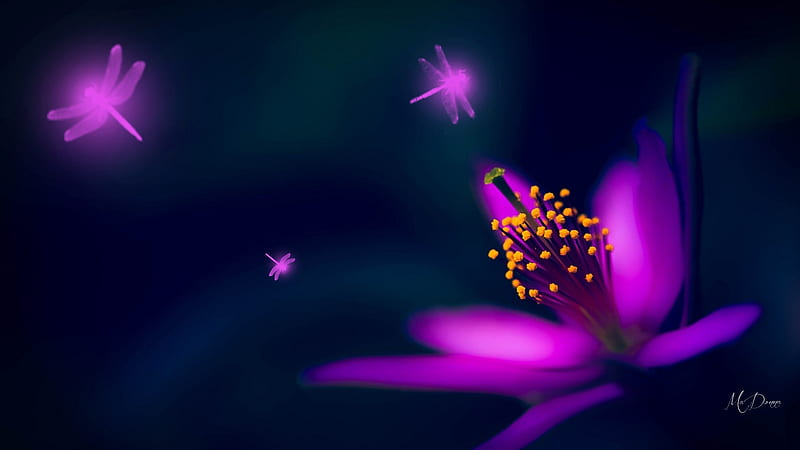 Glow Lily and Dragonflies, glow, dragonflies, bright, flowers, lily, neon, abstract, HD wallpaper