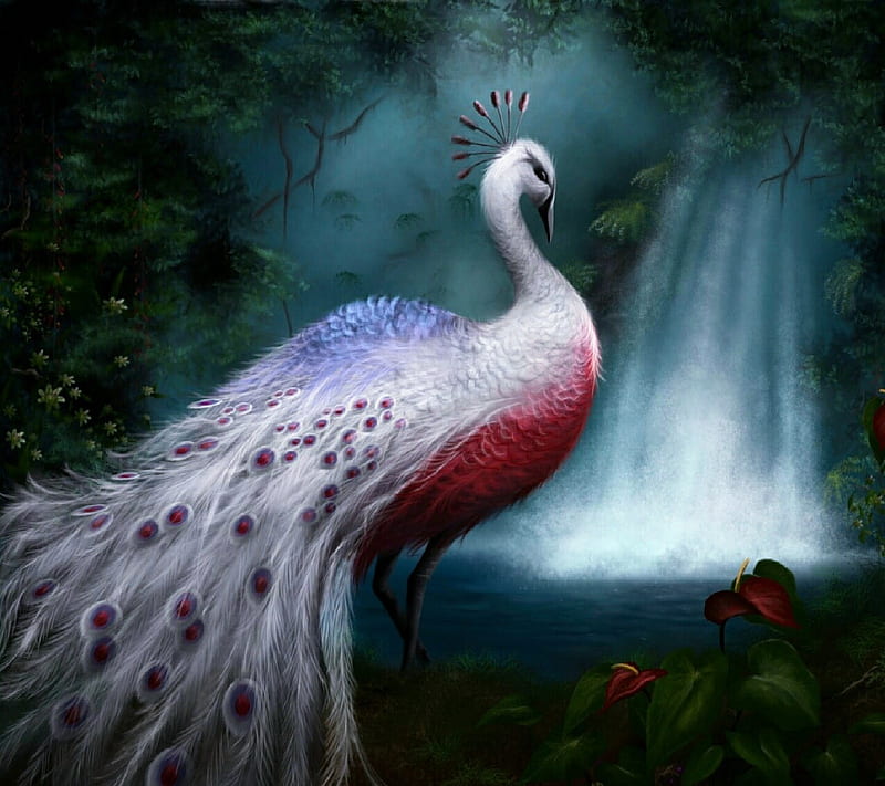 Peacock, bird, white, HD wallpaper | Peakpx