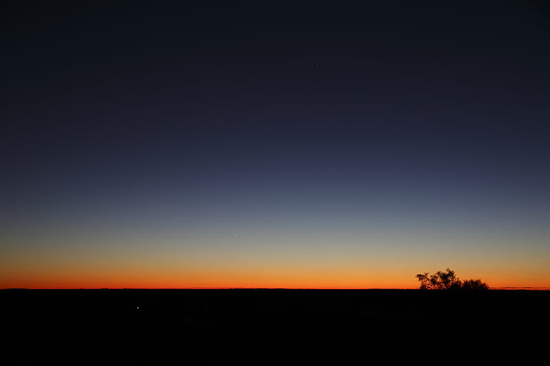 twilight, dark, bushes, sky, horizon, gradient, HD wallpaper