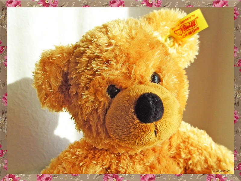 Teddy Bear , children, toy, bear, animal, cute, Teddy, Germany, childhood, Teddy Bear, HD wallpaper