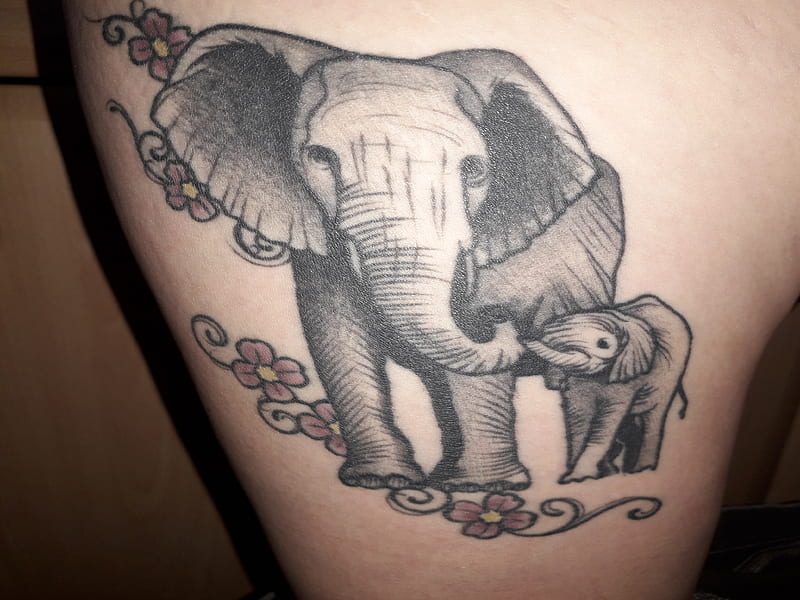 Elefante Mama Y Bebe Tatuaje Fondo De Pantalla Hd Peakpx