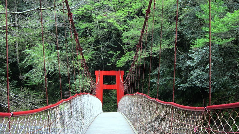 suspension bridge, mountain, red, hiking, HD wallpaper