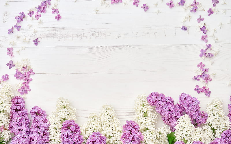 lilac frame, flower frame, purple spring flowers, wooden background, wooden texture, lilac, floral frames, HD wallpaper