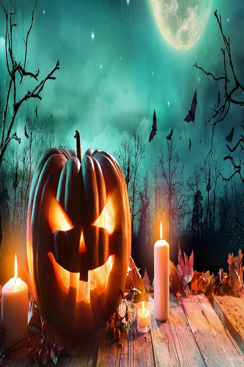 Halloween, art, halloween favorites, halloween pumkin, halloween, HD phone wallpaper