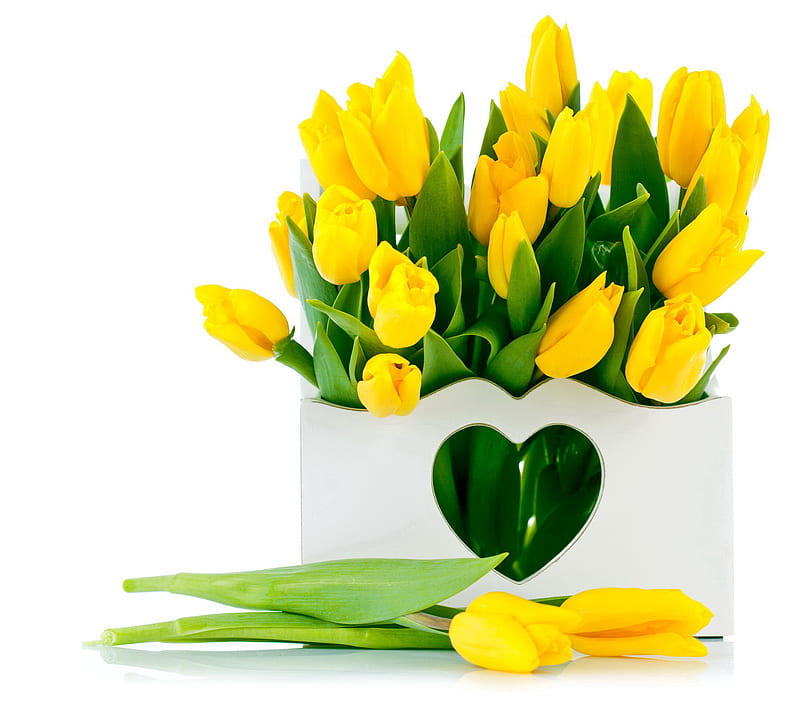Love Tulips, flowers, heart, yellow, HD wallpaper