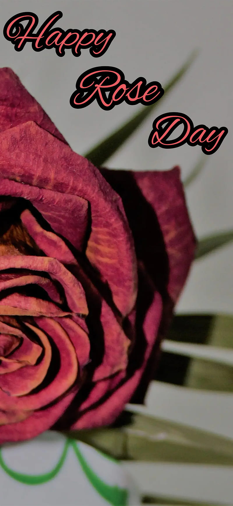 Happy Rose Day, first day, flowers, heart, love, rose day, roses, you, HD  phone wallpaper | Peakpx