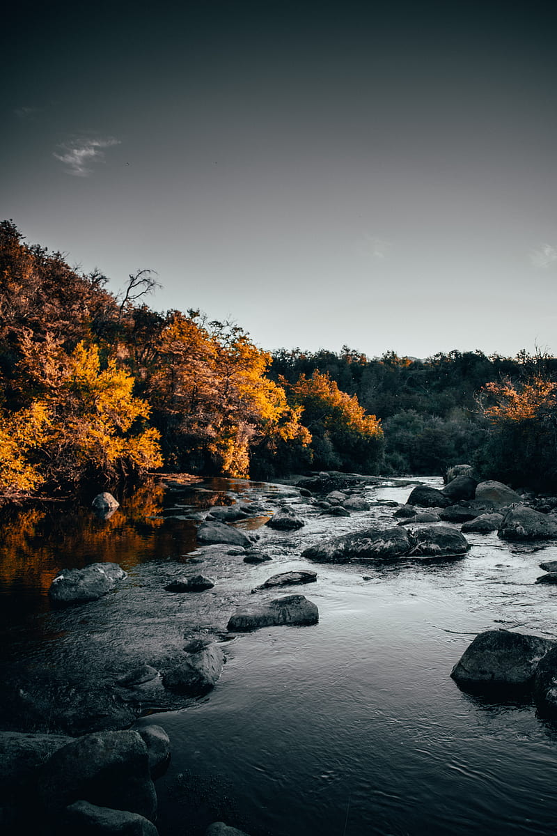 river, stones, trees, water, stream, HD phone wallpaper