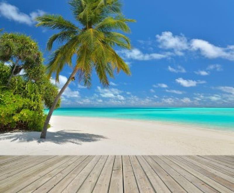 Tropical Beach Ocean Emerald Palms Sea Beach Sand Paradise Tropical Hd Wallpaper Peakpx