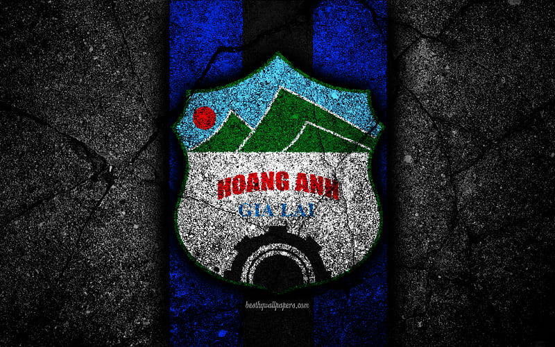 Hoang Anh Gia Lai FC, emblem, V League 1, football, Vietnam, football club, black stone, Asia, Hoang Anh Gia Lai, soccer, asphalt texture, FC Hoang Anh Gia Lai, HD wallpaper