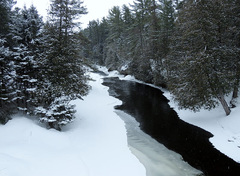 Winter Landscape, Trees, graphy, Snow, Ice, Eels Creek, Nature, Winter, HD wallpaper