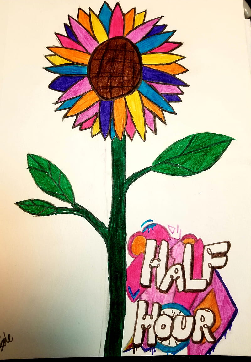Sunflower, cute, denis, denisdaily, drawing, graffiti, half hour, music, rainbow, youtube, HD phone wallpaper