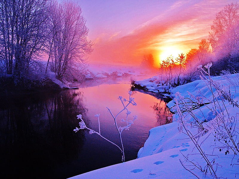 To melt the winter snow, snow, golden, river, sunrise, reflection, trees, winter, HD wallpaper
