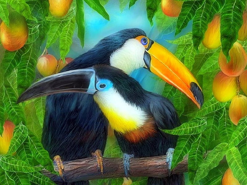 Toucans Lover, toucans, love, birds, flowers, love four seasons, beloved valentines, animals, couple, HD wallpaper