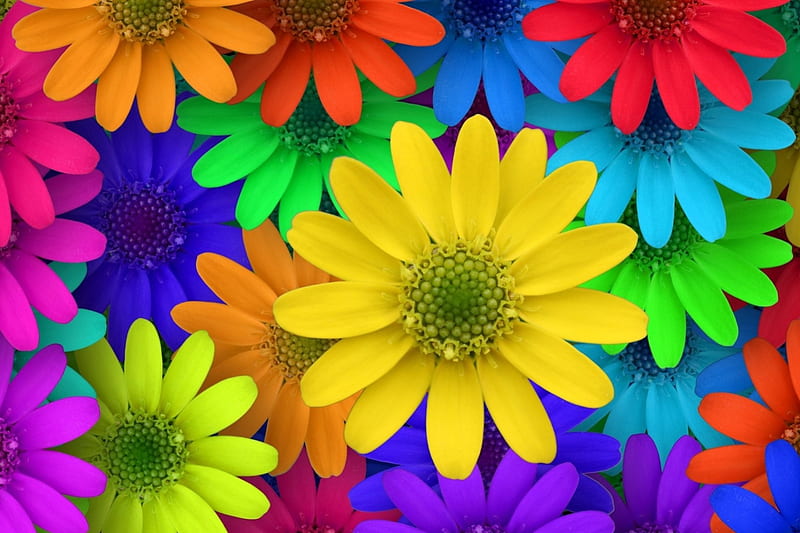 Colorful flowers, red, colorful, yellow, rainbow, green, purple, texture, flower, skin, pink, blue, HD wallpaper