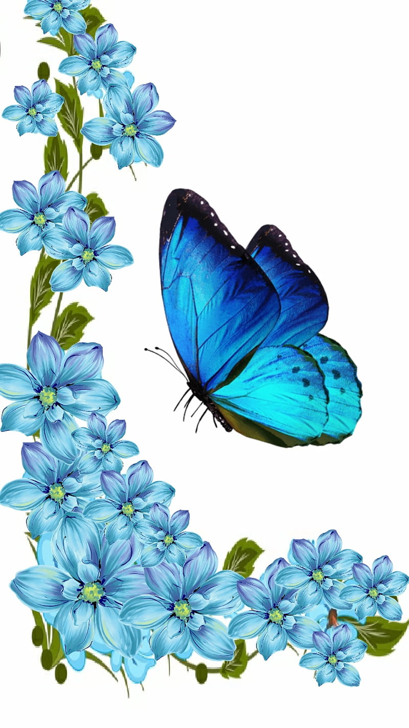Garden Visitor, blue, border, butterfly, flowers, neon, special, HD phone wallpaper