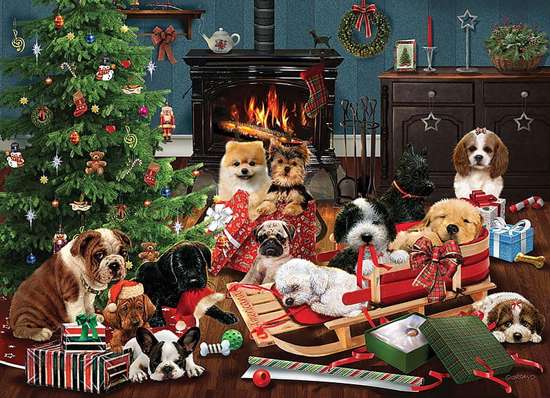 Perros de navidad, habitación, craciun, perro, art, navidad, caine, Fondo  de pantalla HD | Peakpx