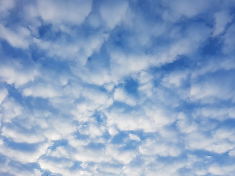 Clouds, blue, fluffy, nature, white, HD wallpaper | Peakpx