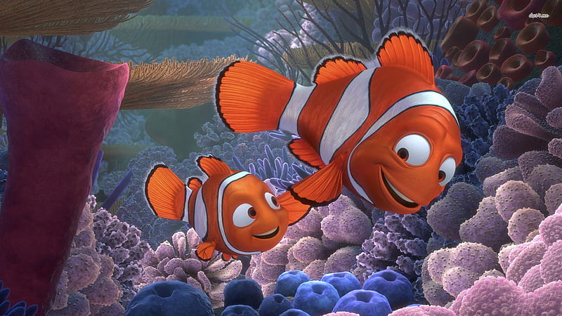 Marlin And Nemo, Marlin, And, Finding, Nemo, HD wallpaper