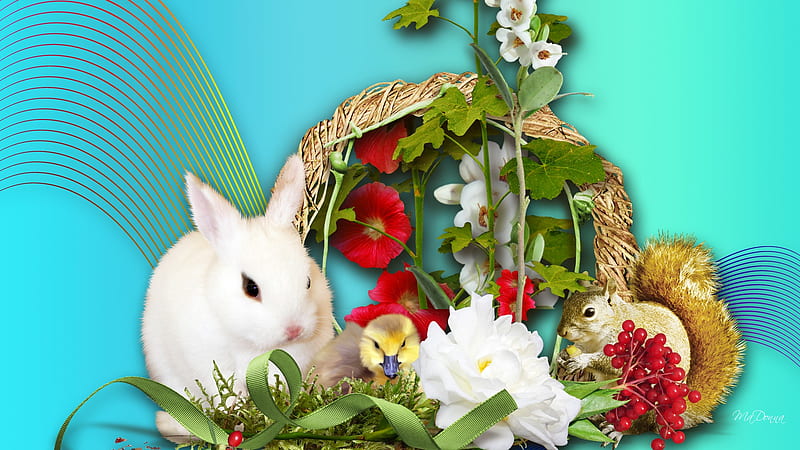 Fuzzy Friends Spring, rabbit, squirrel, easter, spring, ribbons, basket, flowers, bunny, duckling, HD wallpaper