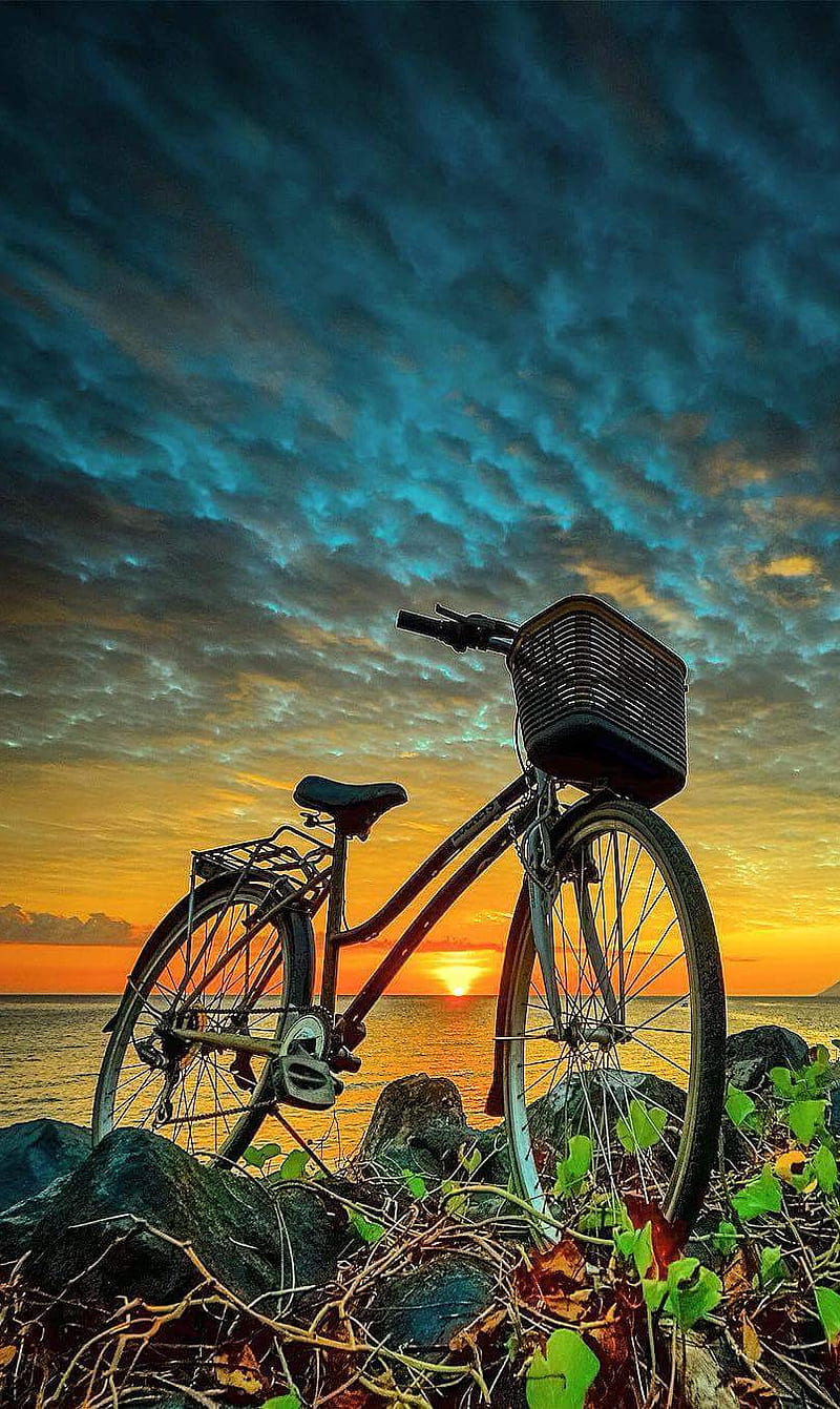 Bicycle, bonito, cloud, downhill, ea, ocean, plant, sunrise, water, wheel, HD phone wallpaper