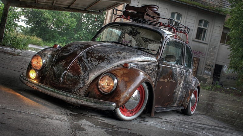a well rusted vintage vw beetle, rusted, car, lights, vintage, yard, HD wallpaper