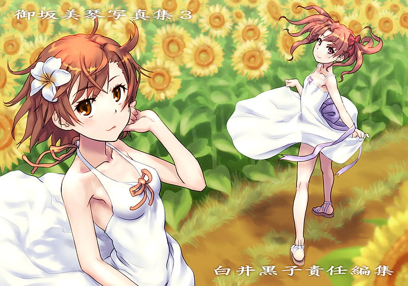 Sunflower field, misaka, to aru railgun, to aru index, anime, mikoto, shirai, kuruko, HD wallpaper