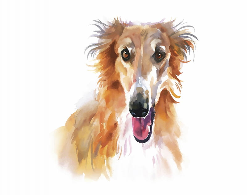 Barzoi, dog, greyhound, art, caine, painting, pictura, HD wallpaper
