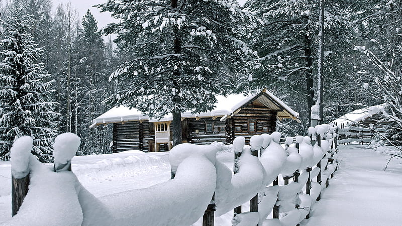 Deep winter, forest, cabin, snow, winter, HD wallpaper