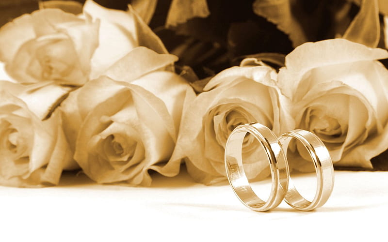 Golden wedding rings, ring, wedding, rose, golden, HD wallpaper