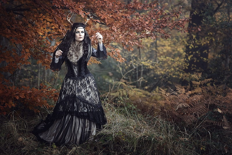 Women, Cosplay, Fall, Forest, Girl, Mood, Style, HD wallpaper