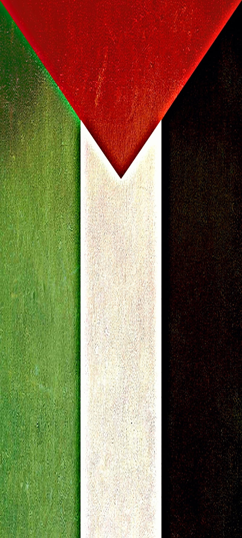 Palestine Flag vert, arab, HD phone wallpaper