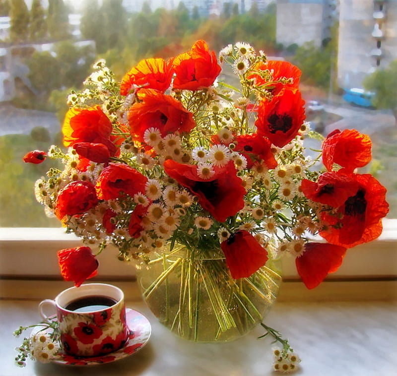 Poppies - still life, red, tea cup, pretty, window, saucer, poppies, flowers, vase, HD wallpaper