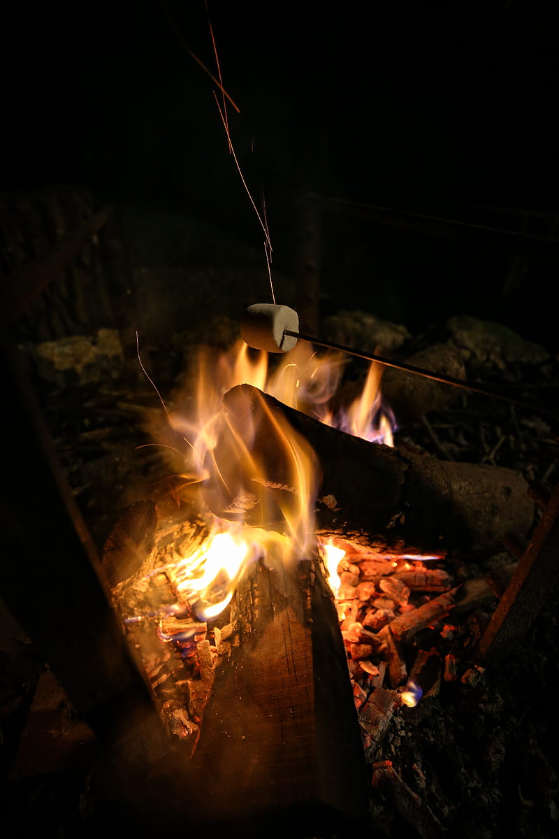 bonfire, marshmallow, camping, fire, night, HD phone wallpaper