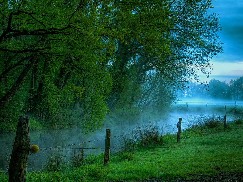 summer mist, summer, nature, blues, mist, HD wallpaper summer mist, summer, nature, blues, mist, HD wallpaper