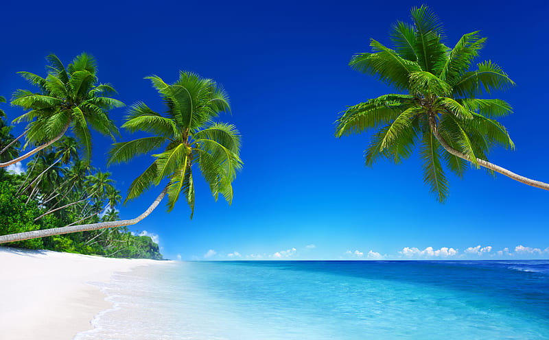 Tropical Beach Paradise Ultra, Nature, beach, Travel, Exotic, Trees, Palm, Tropical, Holiday, Oceanscape, Vacation, WhiteSand, bluewater, crystalclear, paradise, HD wallpaper